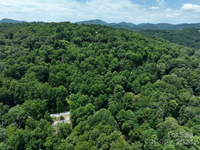 0 Norton Rd, Cashiers, NC 28717 - photo 4