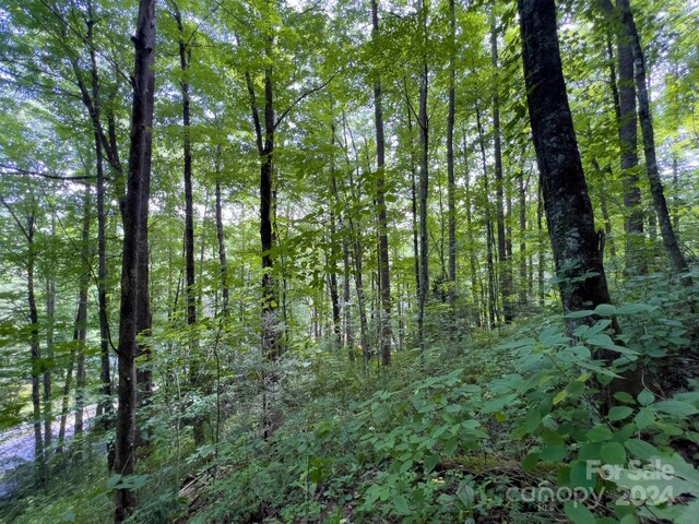 0 Norton Rd, Cashiers, NC 28717 - photo 7