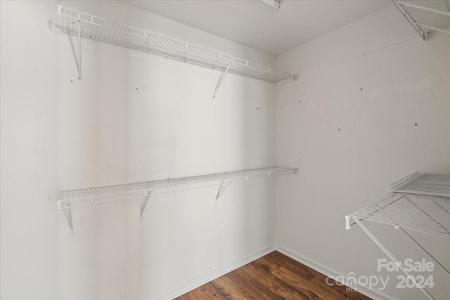 spacious closet featuring dark wood-type flooring