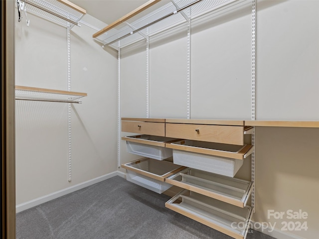 spacious closet with carpet flooring