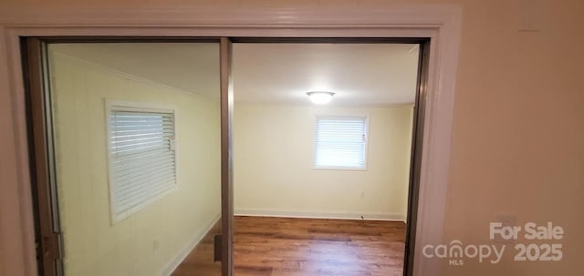 hall featuring dark wood-type flooring