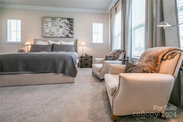 carpeted bedroom with multiple windows and ornamental molding