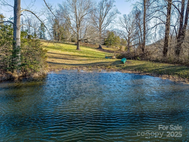 view of water feature