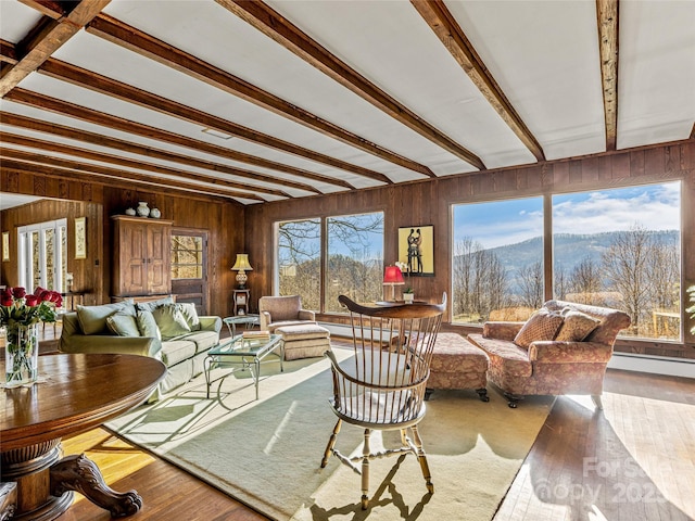 living room featuring a healthy amount of sunlight, a baseboard heating unit, beamed ceiling, and a mountain view