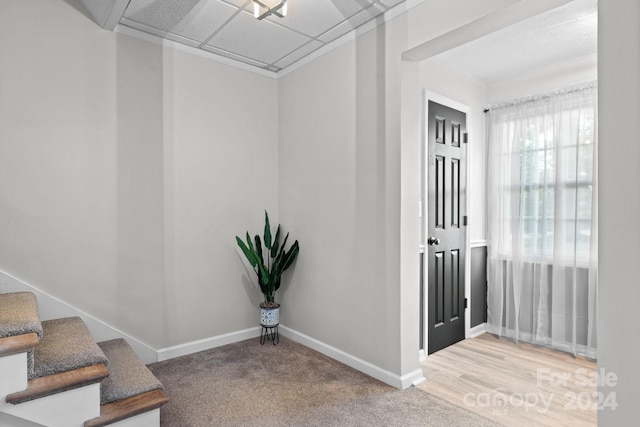 foyer with a paneled ceiling and light carpet