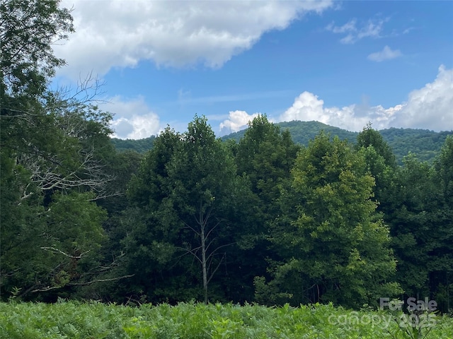 Listing photo 2 for TBD Smith Creek Rd, Mars Hill NC 28754