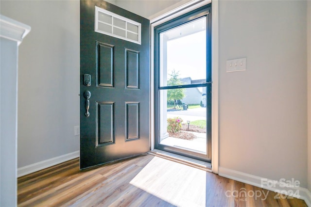 foyer entrance featuring hardwood / wood-style floors