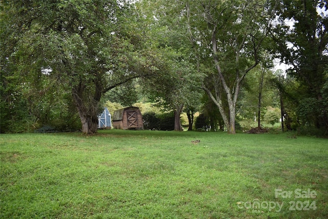 view of yard with a shed