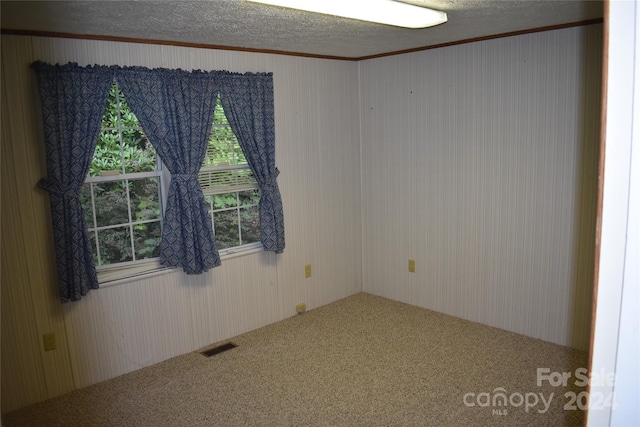 carpeted spare room with a textured ceiling