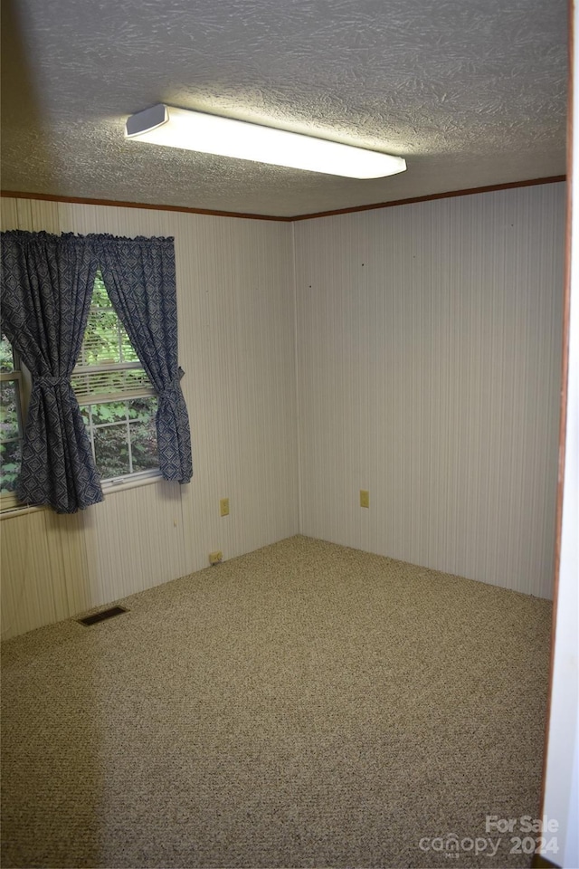 empty room with carpet floors and a textured ceiling