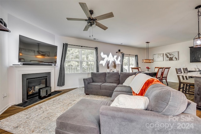 living room featuring ceiling fan and wood-type flooring