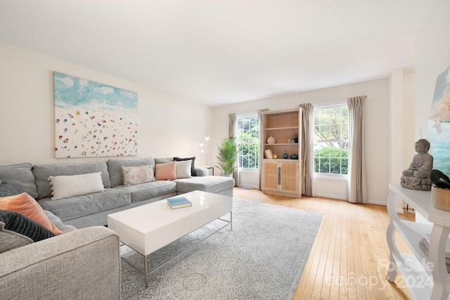 living room featuring light hardwood / wood-style floors