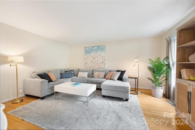 living room featuring light hardwood / wood-style flooring