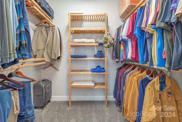 spacious closet featuring carpet