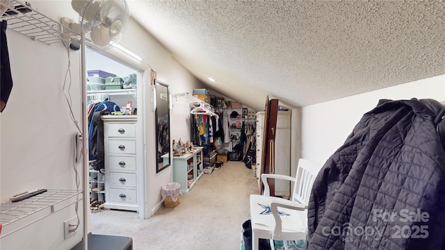 interior space with light carpet, a closet, a textured ceiling, and lofted ceiling