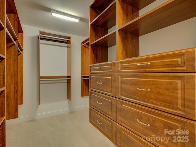 spacious closet featuring light carpet