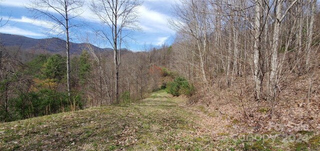 9999 Sunset Falls Dr, Clyde, NC 28716 - photo 7