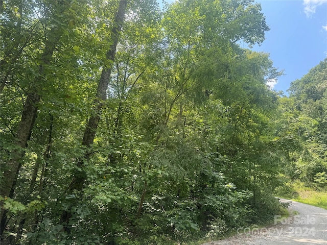 177 Peartree Dr, Lake Lure, NC 28746