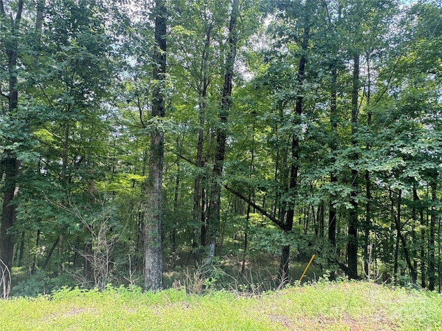 177 Peartree Dr, Lake Lure, NC 28746
