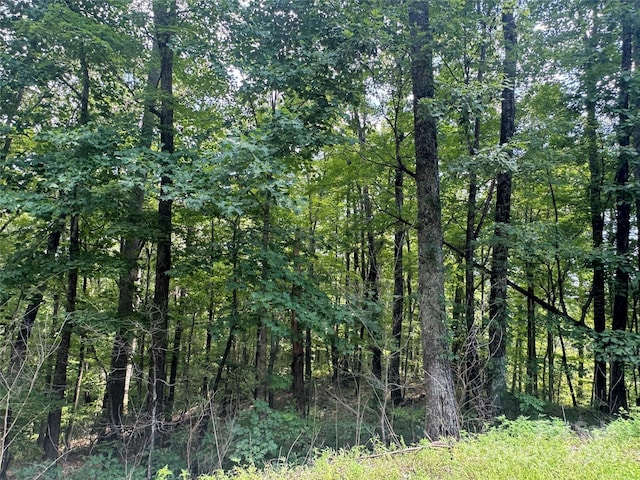 177 Peartree Dr, Lake Lure, NC 28746