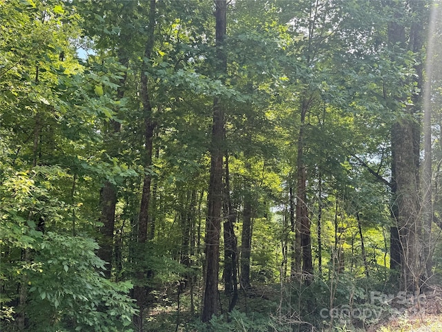 177 Peartree Dr, Lake Lure, NC 28746