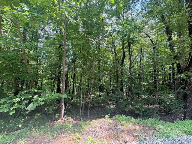 177 Peartree Dr, Lake Lure, NC 28746