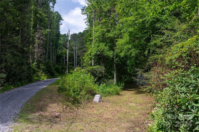 546 Still Fork Creek Rd, Burnsville NC, 28714 land for sale