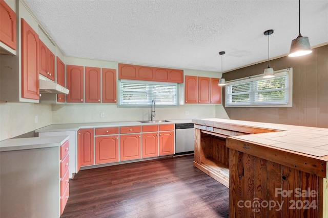 kitchen featuring a textured ceiling, stainless steel dishwasher, hanging light fixtures, sink, and dark hardwood / wood-style floors