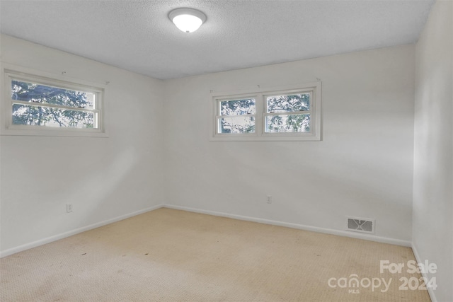 spare room with light carpet and a textured ceiling