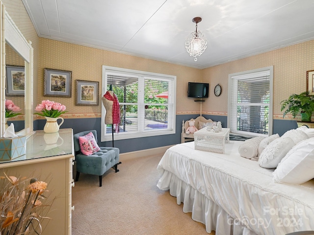 carpeted bedroom with multiple windows