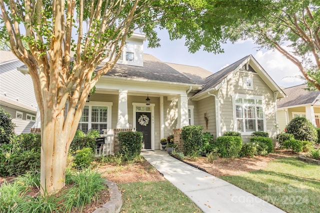 view of front of home featuring covered porch and roof with shingles