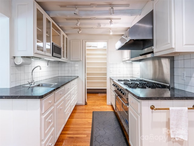 kitchen featuring range hood, track lighting, decorative backsplash, and white cabinets