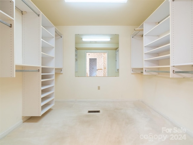 spacious closet with light colored carpet