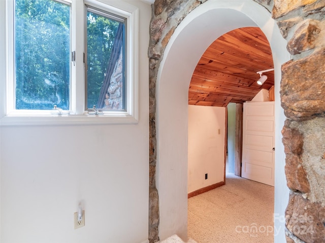 interior space with plenty of natural light, light carpet, and wood ceiling