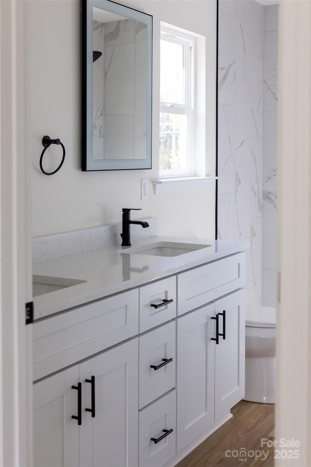 bathroom with vanity, wood-type flooring, and toilet