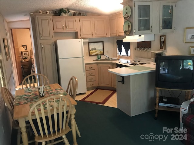 kitchen with under cabinet range hood, a peninsula, light countertops, freestanding refrigerator, and glass insert cabinets