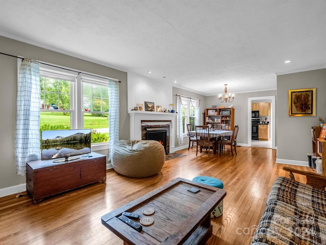 living room with a notable chandelier, light hardwood / wood-style flooring, and a wealth of natural light