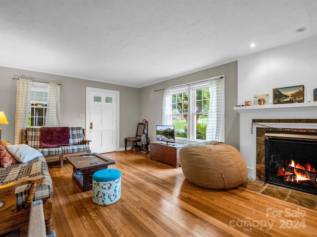 living room with hardwood / wood-style flooring