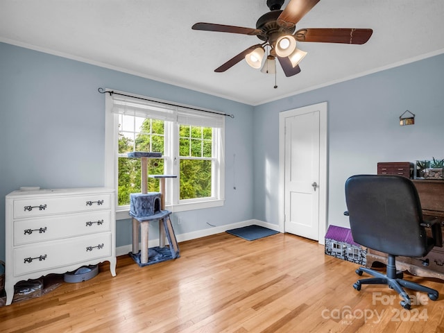 office area featuring crown molding, ceiling fan, and light hardwood / wood-style floors