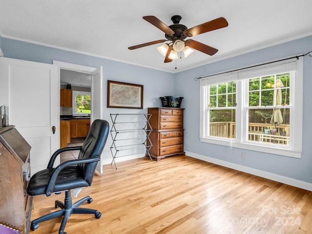 office with ornamental molding, ceiling fan, and light hardwood / wood-style floors