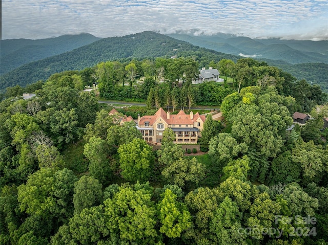 aerial view featuring a mountain view and a view of trees