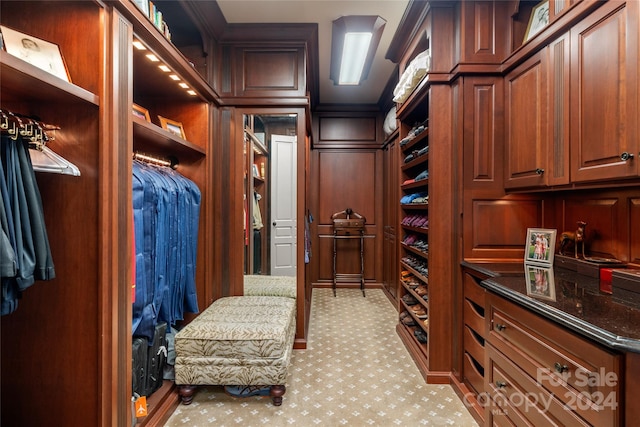 spacious closet featuring light colored carpet