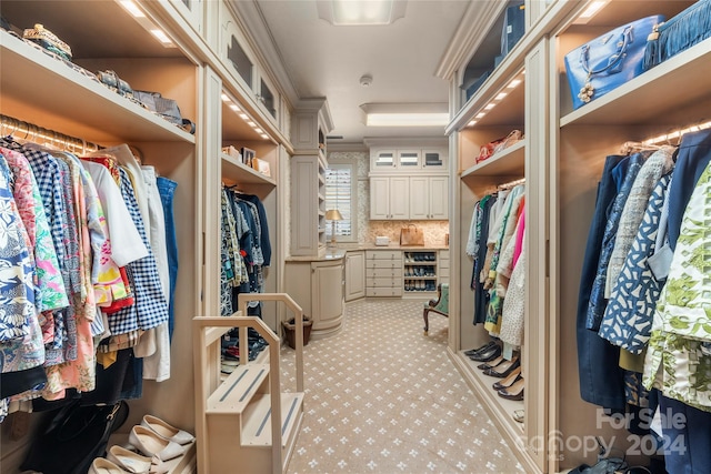 view of spacious closet