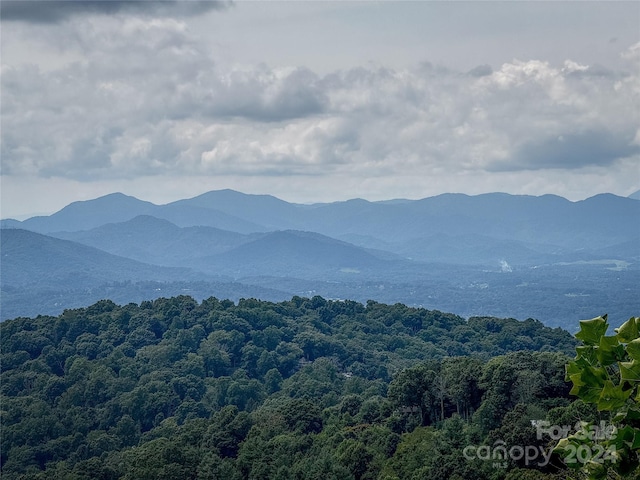 view of mountain feature with a forest view