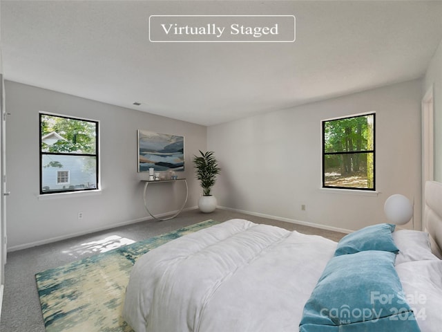 bedroom featuring multiple windows and carpet floors