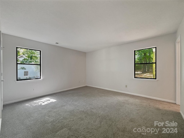 unfurnished room featuring carpet floors and a healthy amount of sunlight