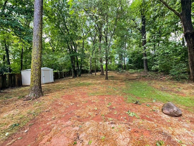 view of yard with a storage shed