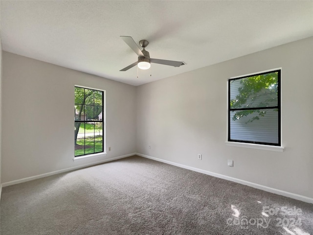 spare room with ceiling fan and carpet flooring