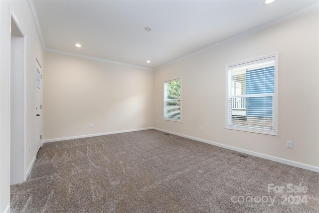 spare room featuring carpet flooring and crown molding