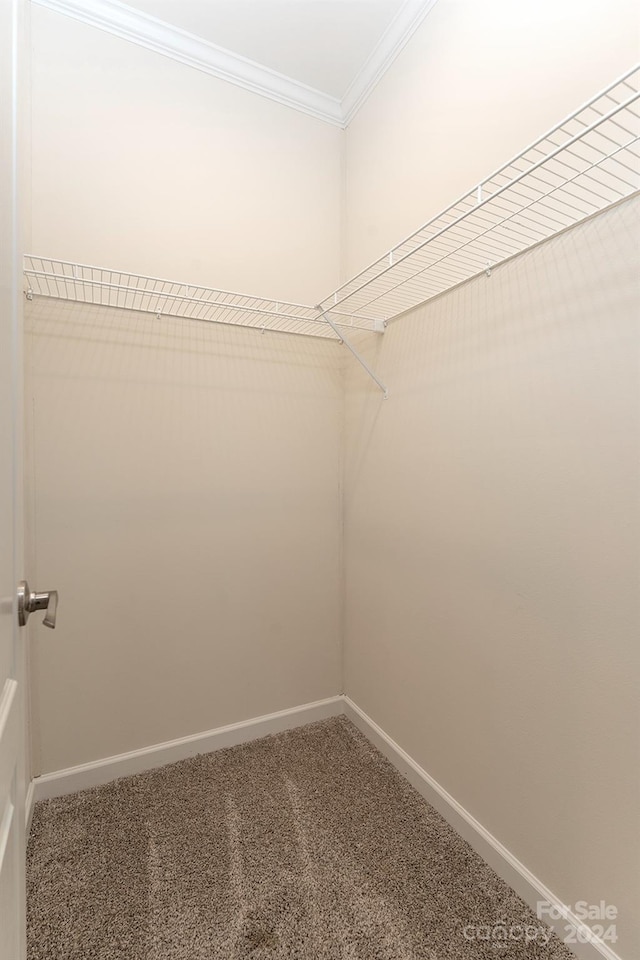 spacious closet with carpet